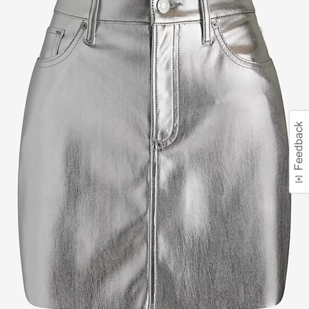 NWT express metallic skirt